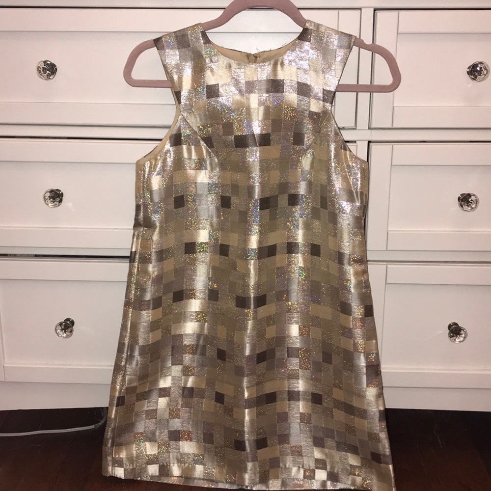Metallic Dress!!